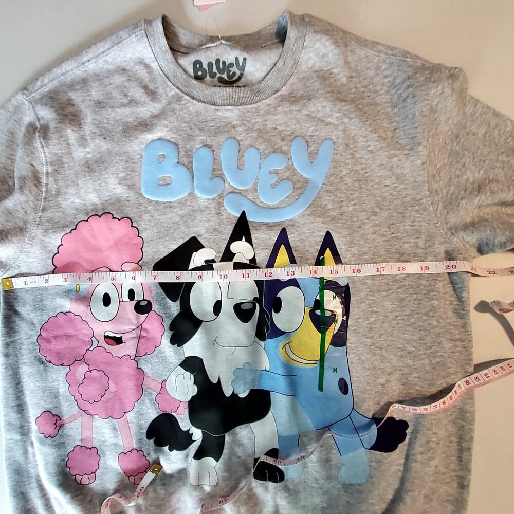 Bluey Heather Grey Sweatshirt Size M Featuring Best Buddies Front & Back Graphic - Picture 3 of 7
